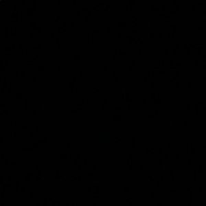 Meet your Posher, Huma